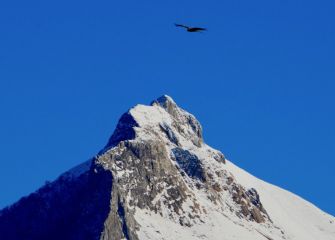 Txindoki (Desde Lazkao Mendi)