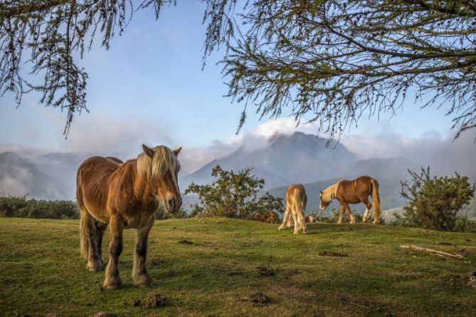 Unas vistas de lujo: foto en Irun