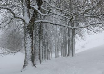 Urbia: baselizako bidea