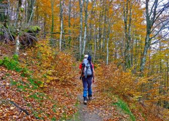 Urbiako bidean Udazkenean 