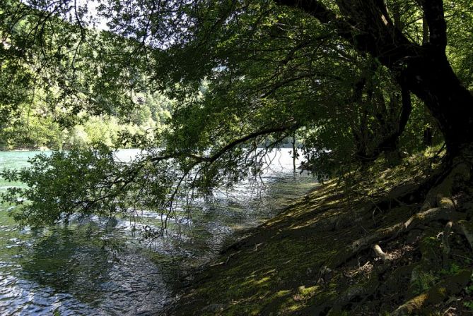 Urtegiko erribera: foto en Azpeitia