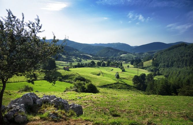 Valle de Berastegi: foto en Berastegi