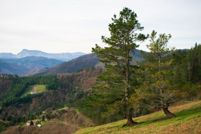 Valle de Gorosta: foto en Eibar