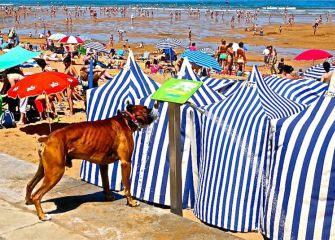 Verano de mucho calor!! 