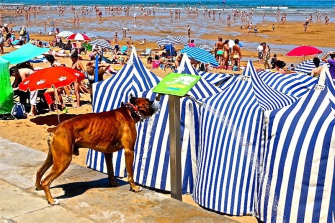 Verano de mucho calor!! : foto en Zarautz