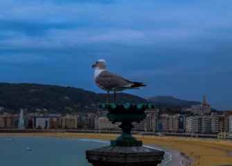 El vigilante de Donostia