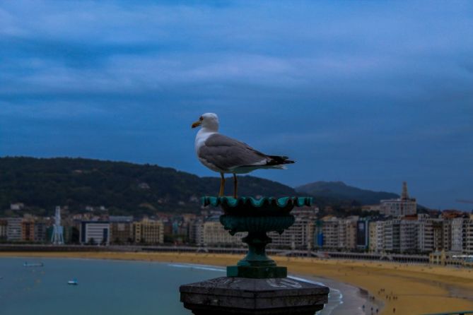 El vigilante de Donostia: foto en Donostia-San Sebastián