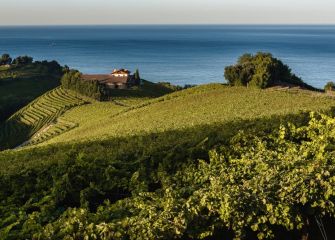 Viñedos de Getaria