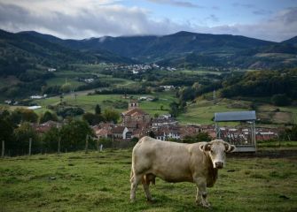 vista de segura y zerain