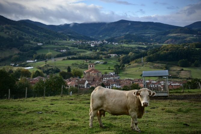 vista de segura y zerain: foto en Segura