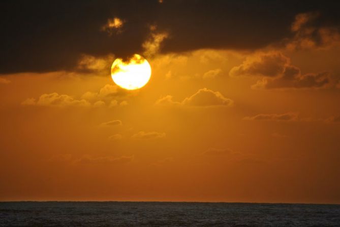 Zeru laranja: foto en Donostia-San Sebastián