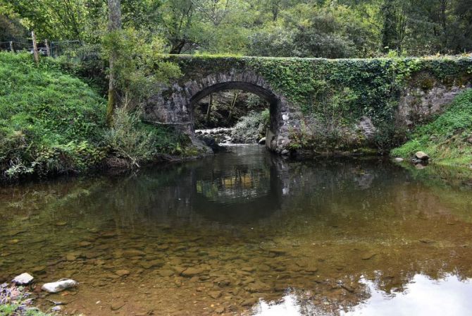 Zubia eta errekako istila: foto en Hernani