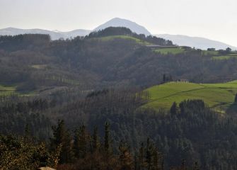 Zuhaitzak, zelaiak, mendiak..