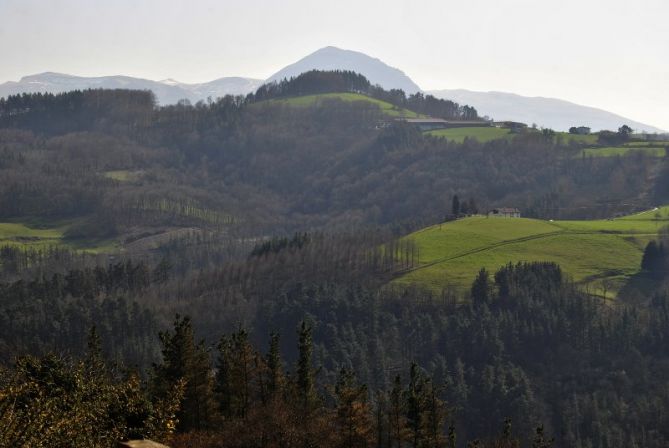 Zuhaitzak, zelaiak, mendiak..: foto en Alegia