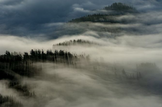 Nieblas en el Goierri: foto en Zerain