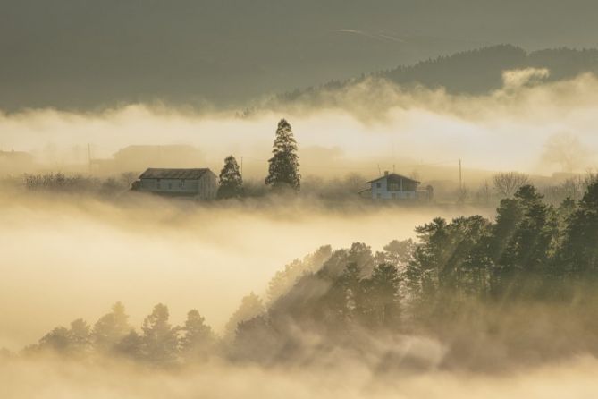 Abriendose entre las nieblas: foto en Lazkao