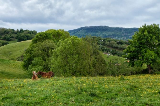 Amores de primavera: foto en Irun