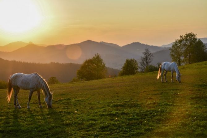 ATARDECER: foto en Bergara