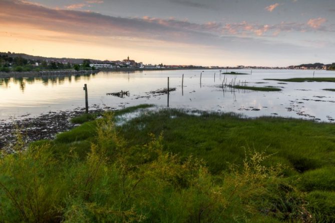 bahia de txingudi: foto en Irun