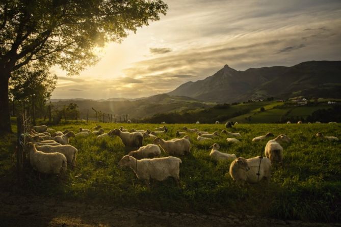 Balcón de Aralar: foto en Lazkao