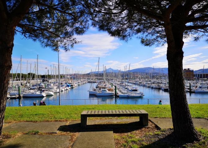 Un banco de lujo: foto en Hondarribia