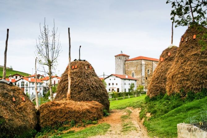 Belar metak: foto en Abaltzisketa