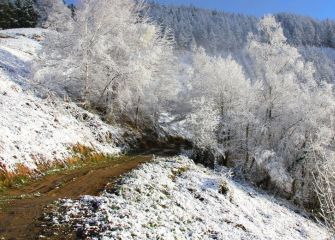 Belleza blanca