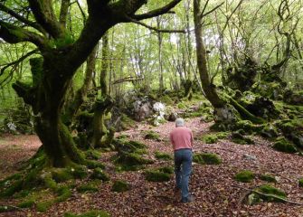 Bosques en el alto de Aittola.