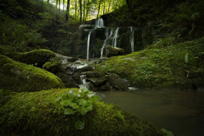 CASCADA DE ARLIZETA: foto en Azpeitia