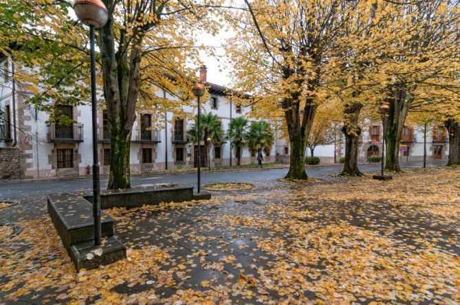 Colores de Otoño : foto en Oñati