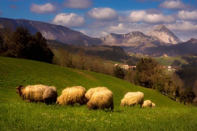 La cuadrilla: foto en Aretxabaleta