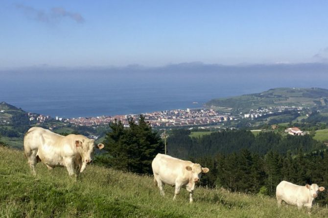 Dando un paseo por el monte : foto en Zarautz