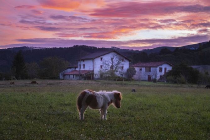 Elgoibar San Roke: foto en Elgoibar