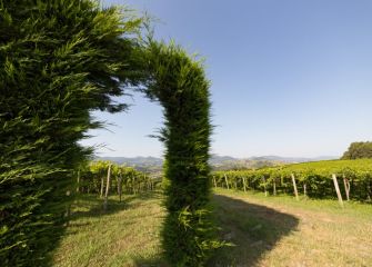 entrada al laberinto