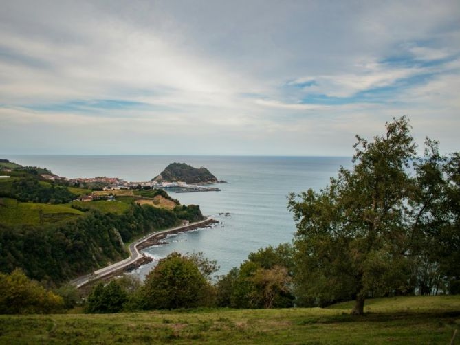 Entre viñedos: foto en Getaria