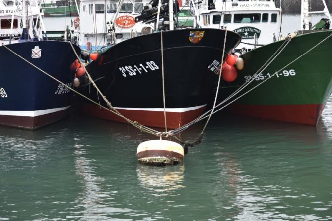 ESTEKATUTA: foto en Hondarribia