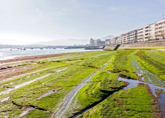 flish de hondarribia