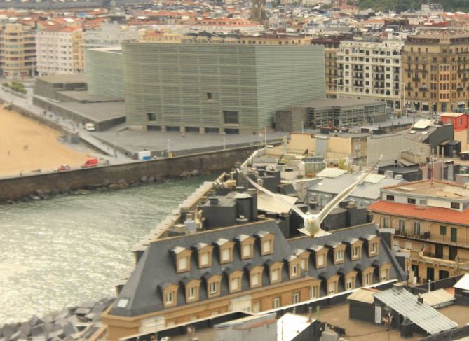 Gaviota.: foto en Donostia-San Sebastián