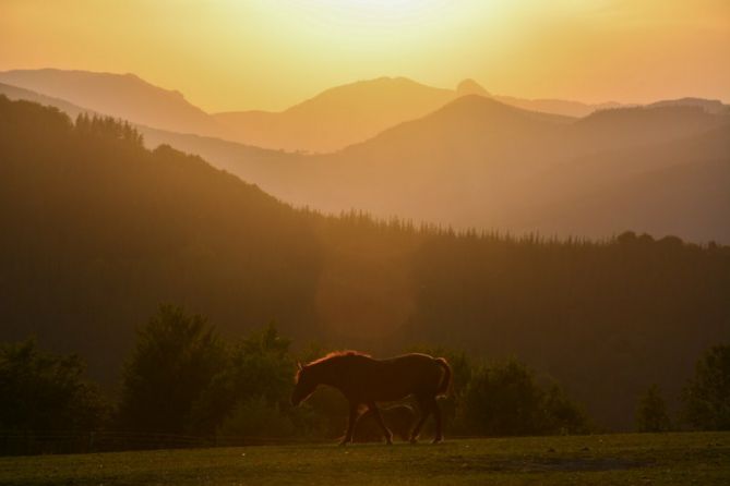 GORBEA: foto en Bergara