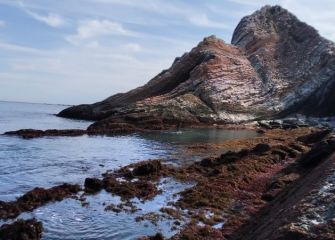 Al gordi se viste de colores