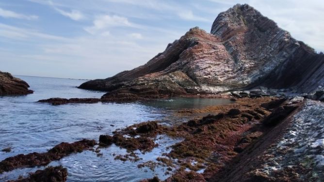 Al gordi se viste de colores: foto en Zumaia