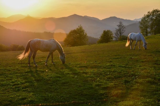 ILUNABARREKO KOLOREAK: foto en Bergara