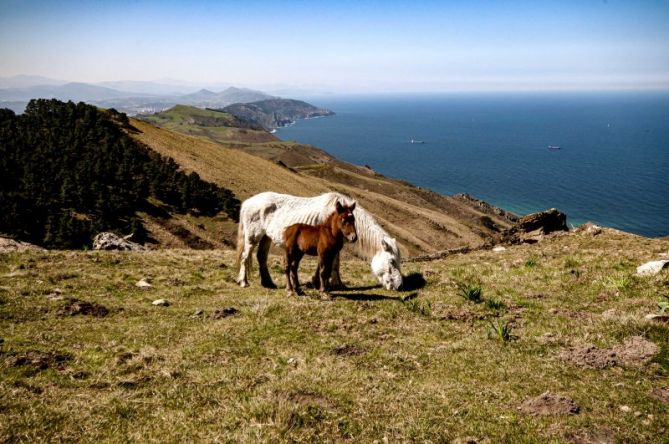 JAIZQUIBEL: foto en Hondarribia