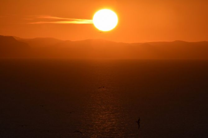 LARANJA KOLOREAK: foto en Donostia-San Sebastián