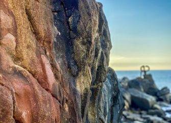 Los colores del peine