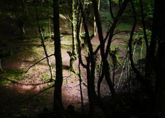 Luces y sombras en Aittola.