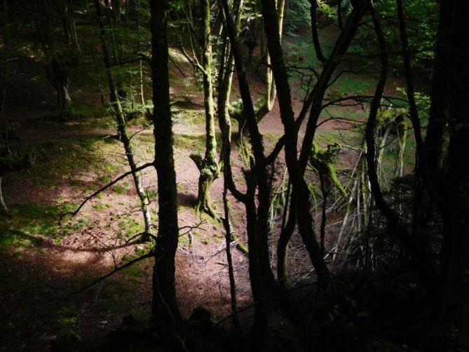 Luces y sombras en Aittola.: foto en Azkoitia