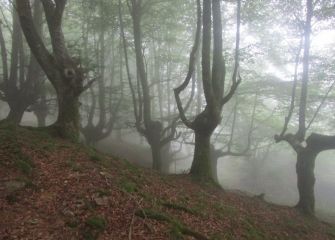 Niebla en el Adarra.