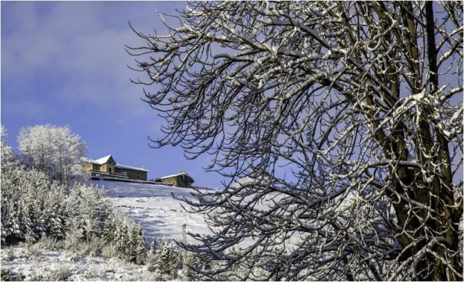 Nieve en Bergara: foto en Bergara