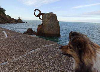 Observando el Paisaje